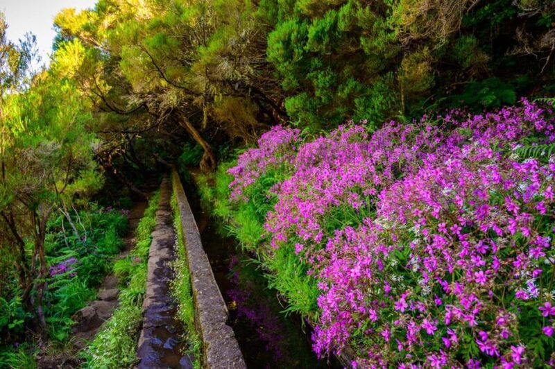 MADEIRA ISLAND WALK - 25 FOUNTAINS LEVADA - Return Journey and Optional Breaks