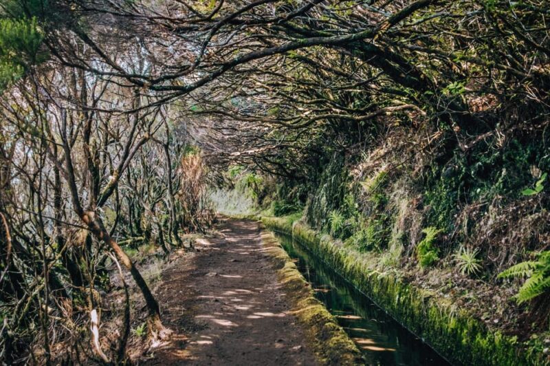 MADEIRA ISLAND WALK - LAKES OF MADEIRA , LEVADA DO ALECRIM - The Experience Overview