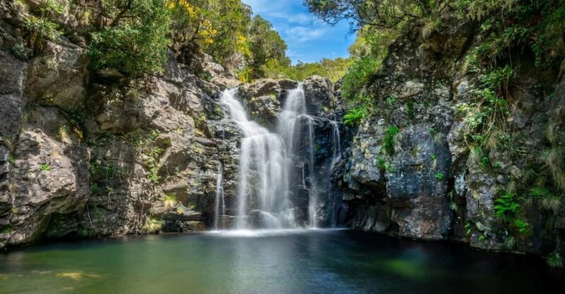 MADEIRA ISLAND WALK - LAKES OF MADEIRA , LEVADA DO ALECRIM - What Makes This Tour Stand Out