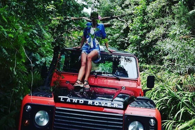 Madeira Jeep 4x4: Old Forest Full-Day Tour incl Pico Arieiro - Key Points