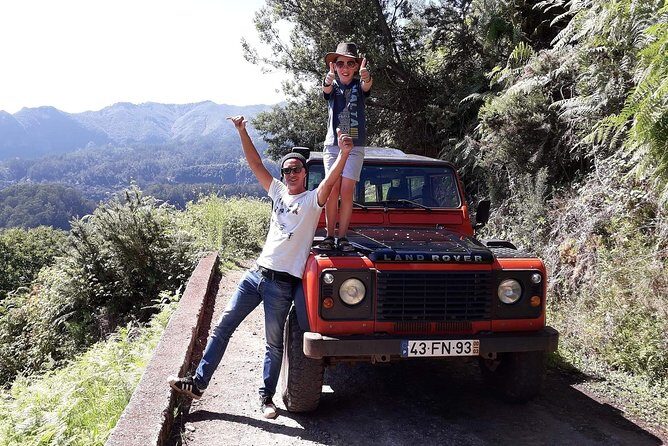 Madeira Jeep 4x4: Old Forest Full-Day Tour incl Pico Arieiro - The Sum Up