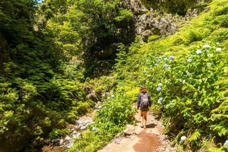 Madeira: Jungle Fever Levada Caldeirao Verde Hike Santana - FAQ