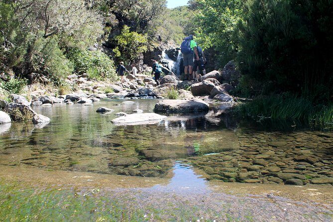 Madeira Lakes - Levada do Alecrim - An In-Depth Look at the Madeira Lakes - Levada do Alecrim Tour