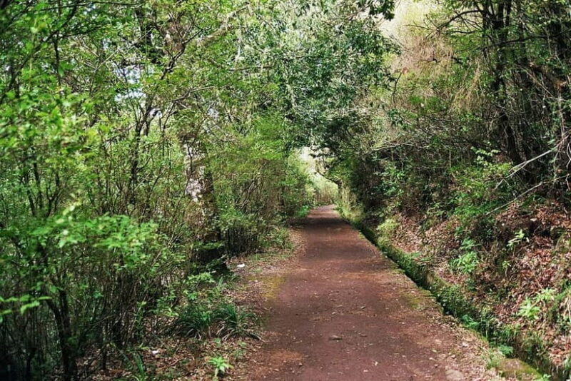 Madeira: Levada Paradise Valley Scenic Walk - The Experience: What It’s Like