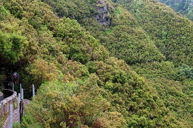 Madeira Levada Walk - Rabacal Lakes and Fountains - An In-Depth Look at the Tour Experience