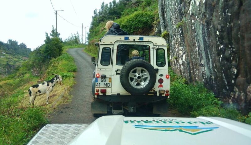 Madeira: Mini-Combo East Challenge: Jeep Safari + Levada - An In-Depth Look at the Madeira Mini-Combo East Challenge