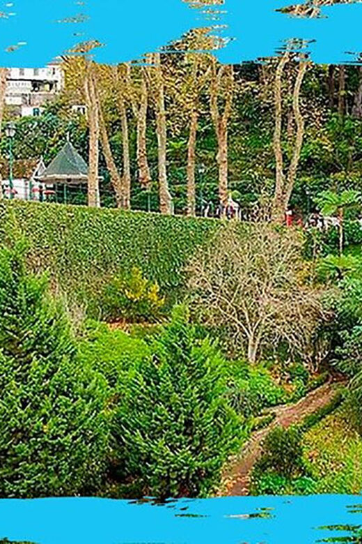 Madeira: Monte Toboggan + Old Town Tuk-Tuk Tour by MadTuk - FAQ