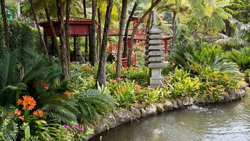 Madeira: Monte Tropical Gardens + Old Town Tuk Tuk by MadTuk - Is it Worth the Price?