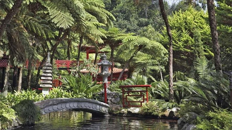 Madeira: Monte Tropical Gardens + Old Town Tuk Tuk by MadTuk - Final Thoughts