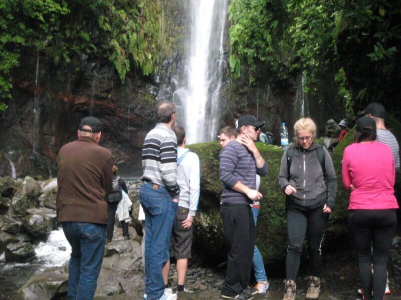Madeira: Mountain Walk with Lagoon and Waterfalls - An In-Depth Look at the Madeira Mountain Walk