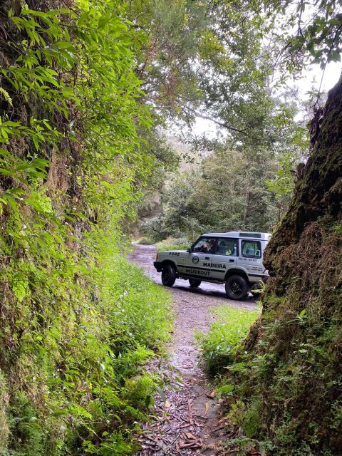 Madeira "Mystery Tour" Half-Day - Private 4x4 Jeep - The Experience in Practice