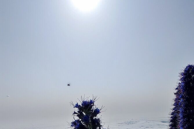 Madeira "Mystery Tour" - Half Day Private 4x4 Jeep - The Experience in Detail