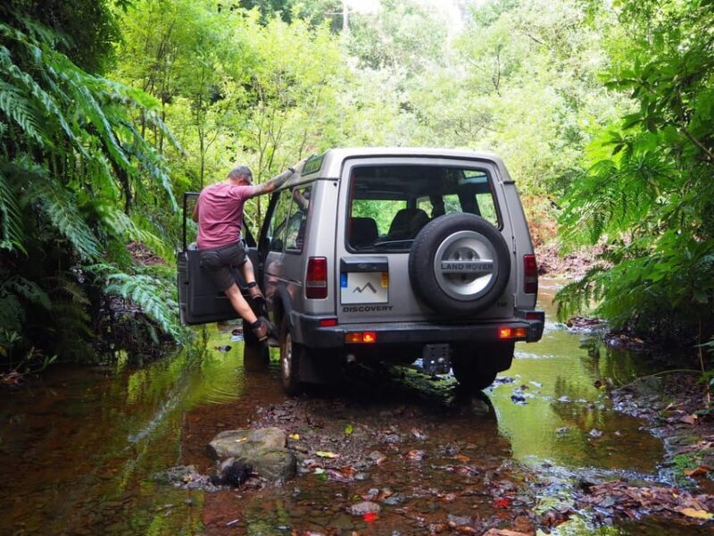 Madeira Northern Express, Private tour 4x4 - Who Will Love This Tour?