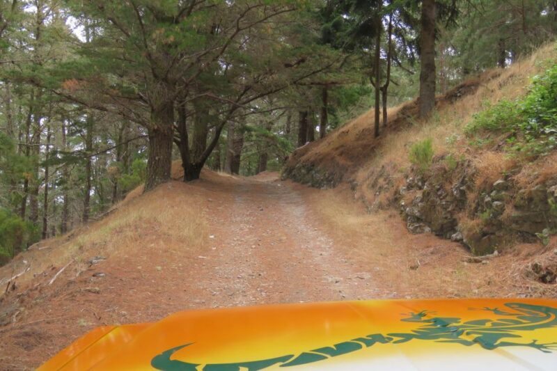 Madeira : Nun's Valleys and Pico Areeiro 4X4 Tour - Practical Details and What to Expect
