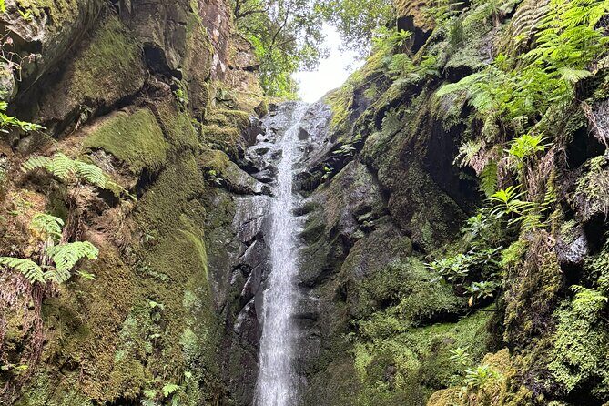 Madeira Off-Road 4x4 Jeep Adventure Private Full day Tour - An In-Depth Look at the Madeira Off-Road Jeep Adventure