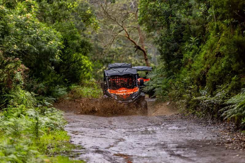 Madeira: OFF-ROAD BUGGY ADVENTURE TO FUNDURAS - Key Points