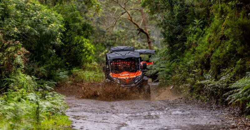 Madeira: OFF-ROAD BUGGY ADVENTURE TO FUNDURAS - Discovering Madeira on Four Wheels: A Deep Dive