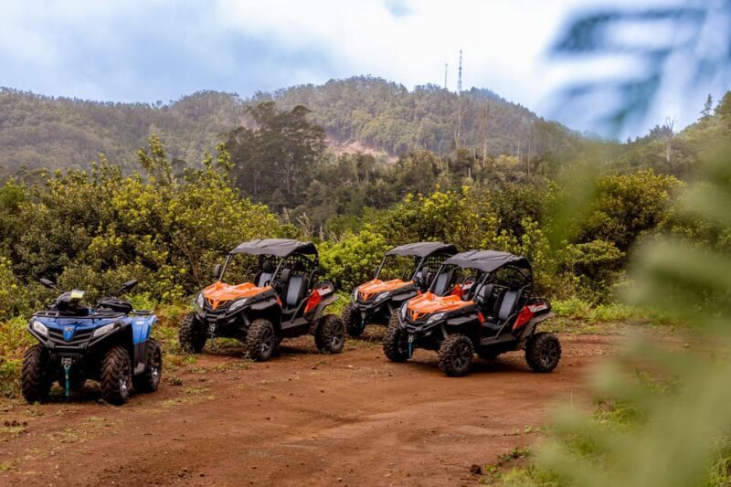 Madeira: OFF-ROAD BUGGY ADVENTURE TO FUNDURAS - Final Thoughts