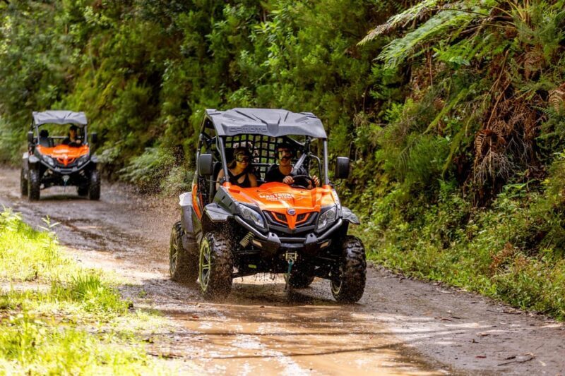 Madeira: OFF-ROAD BUGGY ADVENTURE TO FUNDURAS - Final Words