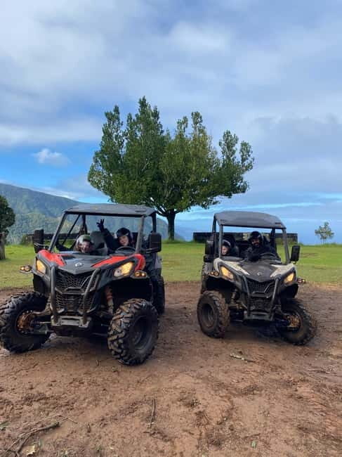 Madeira: Off-Road Buggy Driving Experience - Key Points