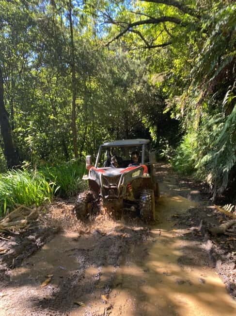 Madeira: Off-Road Buggy Driving Experience - Who Should Consider This Tour?