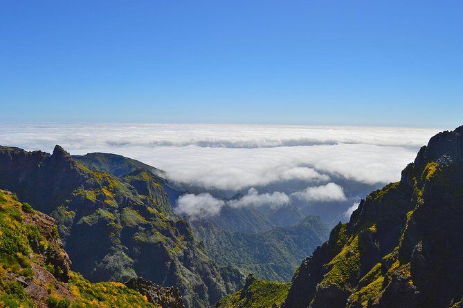 Madeira Peaks - Mountain Walk - The Full Experience: A Deep Dive into the Madeira Peaks Walk