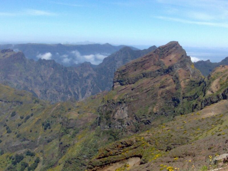 Madeira: Pico do Arieiro & Laurissilva Forest - East tour - Who Should Book This Tour?