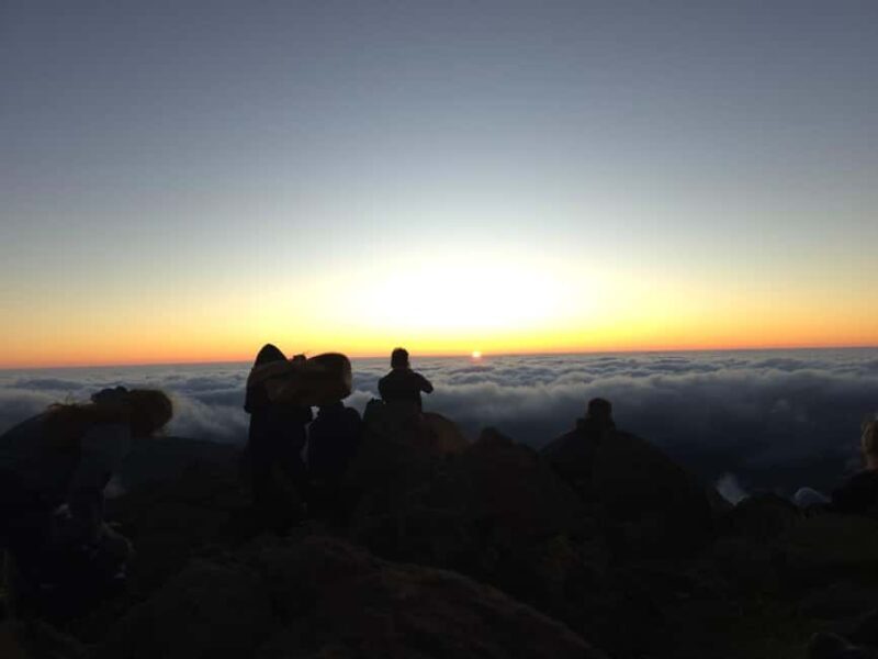 Madeira: Pico do Arieiro Sunrise Tour with Breakfast - Key Points