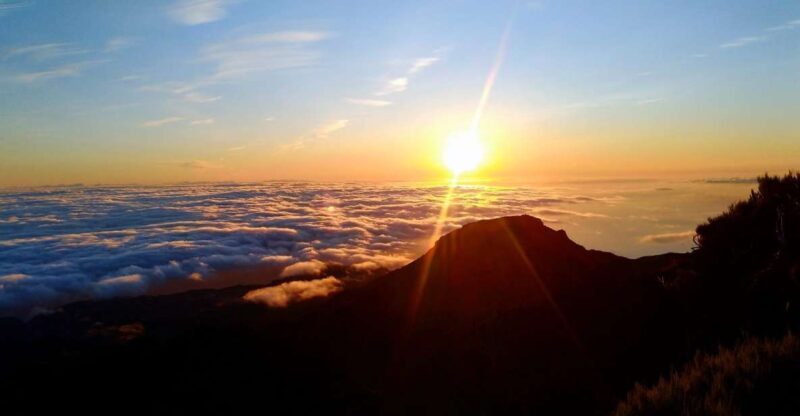 Madeira: Pico Ruivo Guided Sunrise Hike with Hotel Pickup - What Makes This Tour Stand Out