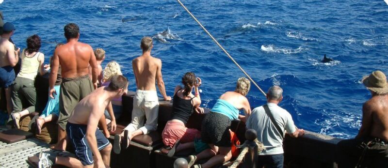 Madeira Pirate Ship: 3-Hour Boat Trip - What Do Guests Say? Insights from Reviews