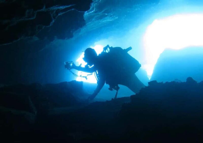 Madeira: Ponta de São Lourenço Shore Dive (certified divers) - Key Points