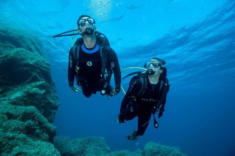 Madeira: Ponta de São Lourenço Shore Dive (certified divers) - Why This Dive Stands Out