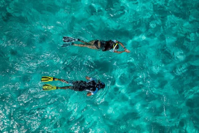 Madeira: Ponta de São Lourenço Snorkeling Boat trip - Key Points