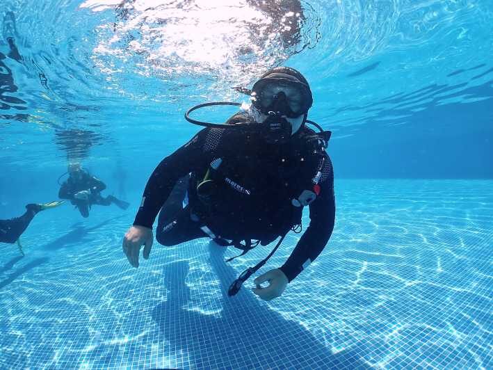 Madeira, Ponta São Lourenço: Scuba Diving for Beginners - What Makes the Location Special?