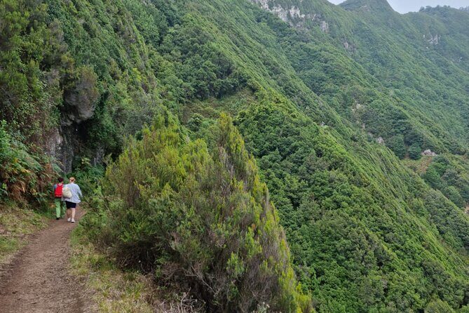 Madeira Porto da Cruz to Machico Self Hiking Tour with Transfer - Who Will Love This Tour?