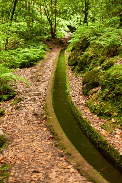 Madeira: PR 18 - Levada do Rei Hike Transfer - Exploring the Itinerary in Detail