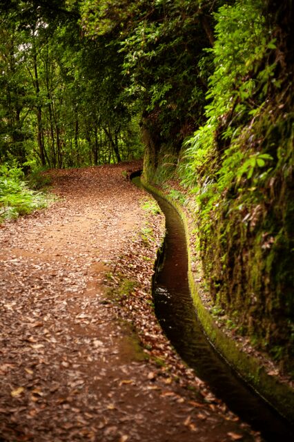 Madeira: PR 18 - Levada do Rei Hike Transfer - Why This Tour Is a Great Choice