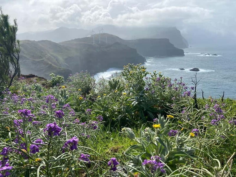 Madeira: PR8 -Ponta de São Lourenço Natural Reserve Transfer - FAQ