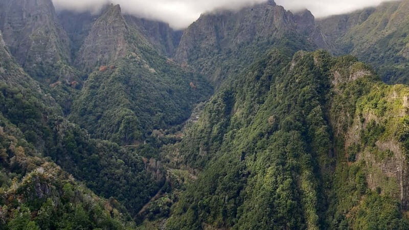 Madeira: Private 1.5-Kilometer Levada dos Balcões Hike PR11 - Key Points