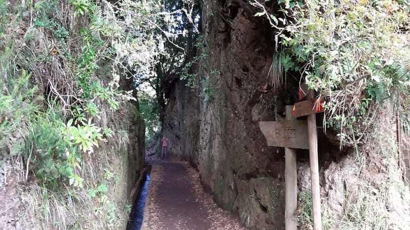 Madeira: Private 1.5-Kilometer Levada dos Balcões Hike PR11 - A Closer Look at the Tour Experience