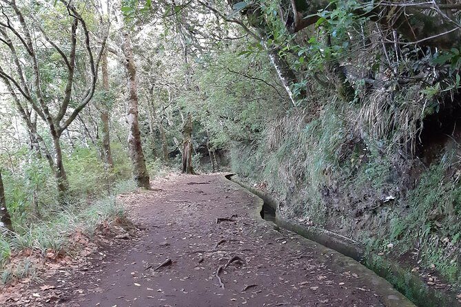 Madeira: Private 1.5-Kilometer Levada dos Balcões Hike PR11 - What Makes This Tour Special?