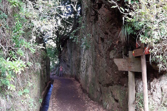 Madeira: Private 1.5-Kilometer Levada dos Balcões Hike PR11 - Authentic Experiences Searchlight