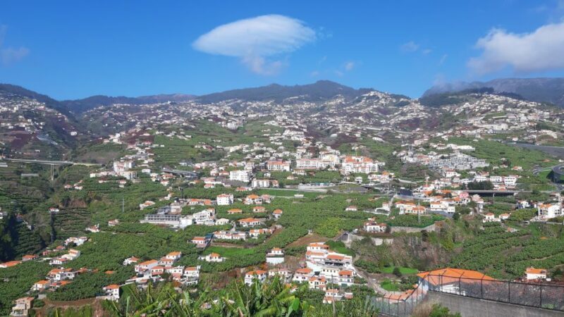 Madeira: Private Banana Farm Tour with Pickup - The Sum Up