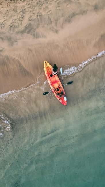 Madeira Private Catamaran Tour in Ponta de Sao Lourenço - An In-depth Look at the Madeira Private Catamaran Tour