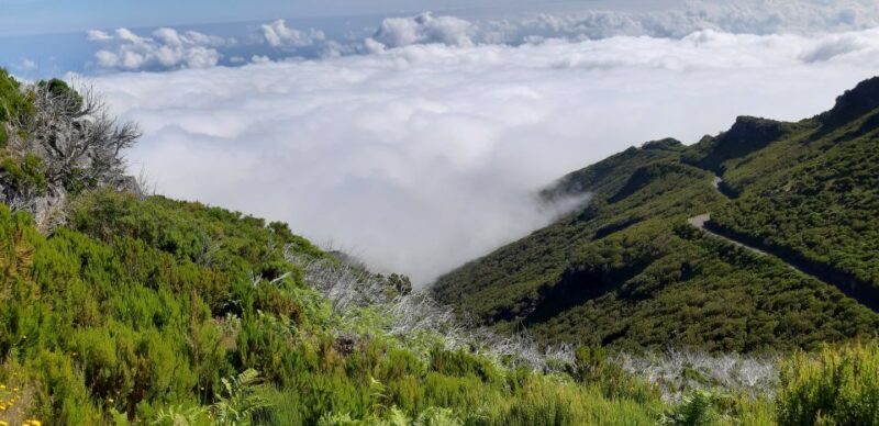 Madeira: Private Guided Achadas Teixeira - Pico Ruivo PR1.1 - An In-Depth Look at the Tour