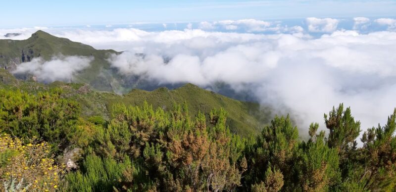 Madeira: Private Guided Achadas Teixeira - Pico Ruivo PR1.1 - FAQ