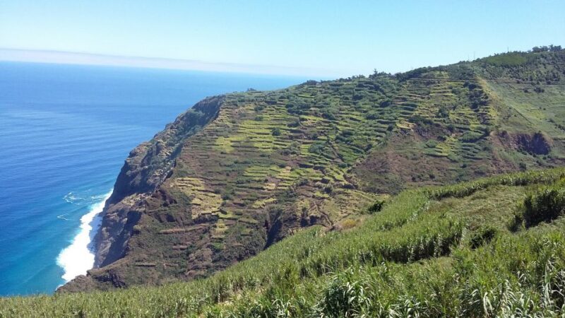 Madeira: Private Guided Half-Day Tour of Northwest Madeira - The Sum Up