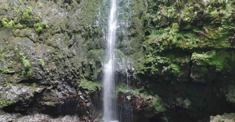 Madeira: Private Guided Levada Caldeirão Verde Walk PR9 - Key Points