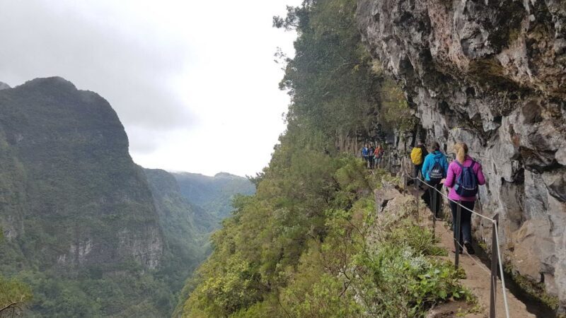 Madeira: Private Guided Levada Caldeirão Verde Walk PR9 - Authentic Reviews and Insights