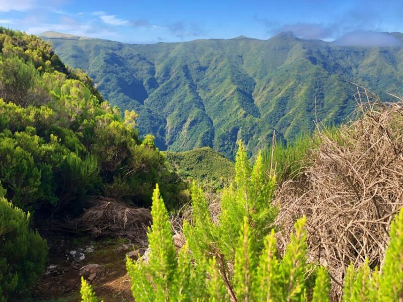 Madeira: Private Guided Vereda do Fanal Walk PR13 - Key Points